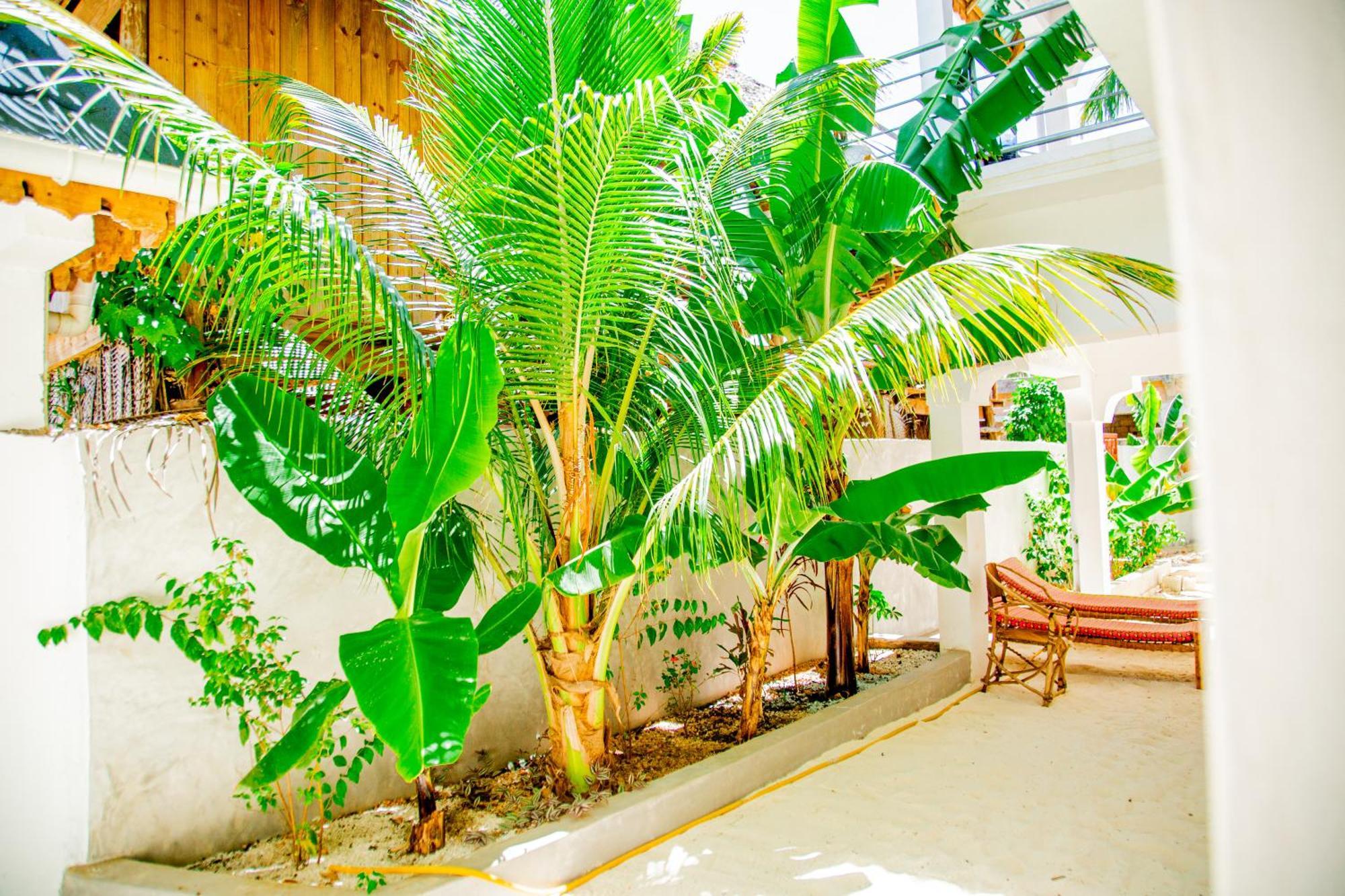 Pamoja Beach Stays Hotel In Jambiani Джамбіані Екстер'єр фото